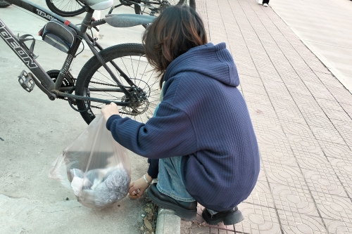 d078f69cb998475799798a40bce578df.jpg 图二.jpg