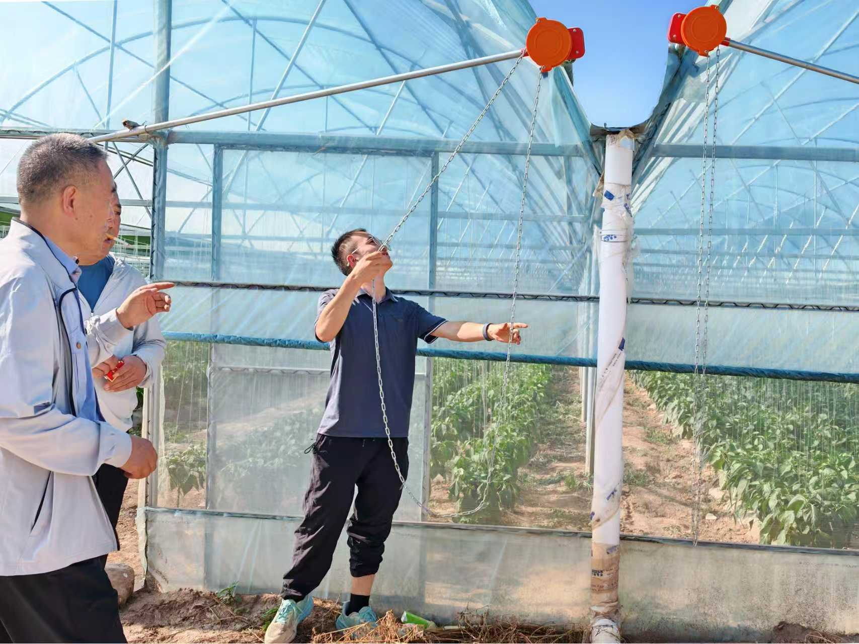 暑期实践投稿＋园艺学院赴西北干旱盐碱地设施番茄高质量发展调研服务队+科技赋能盐碱地 设施农业促振兴（图3）.jpg