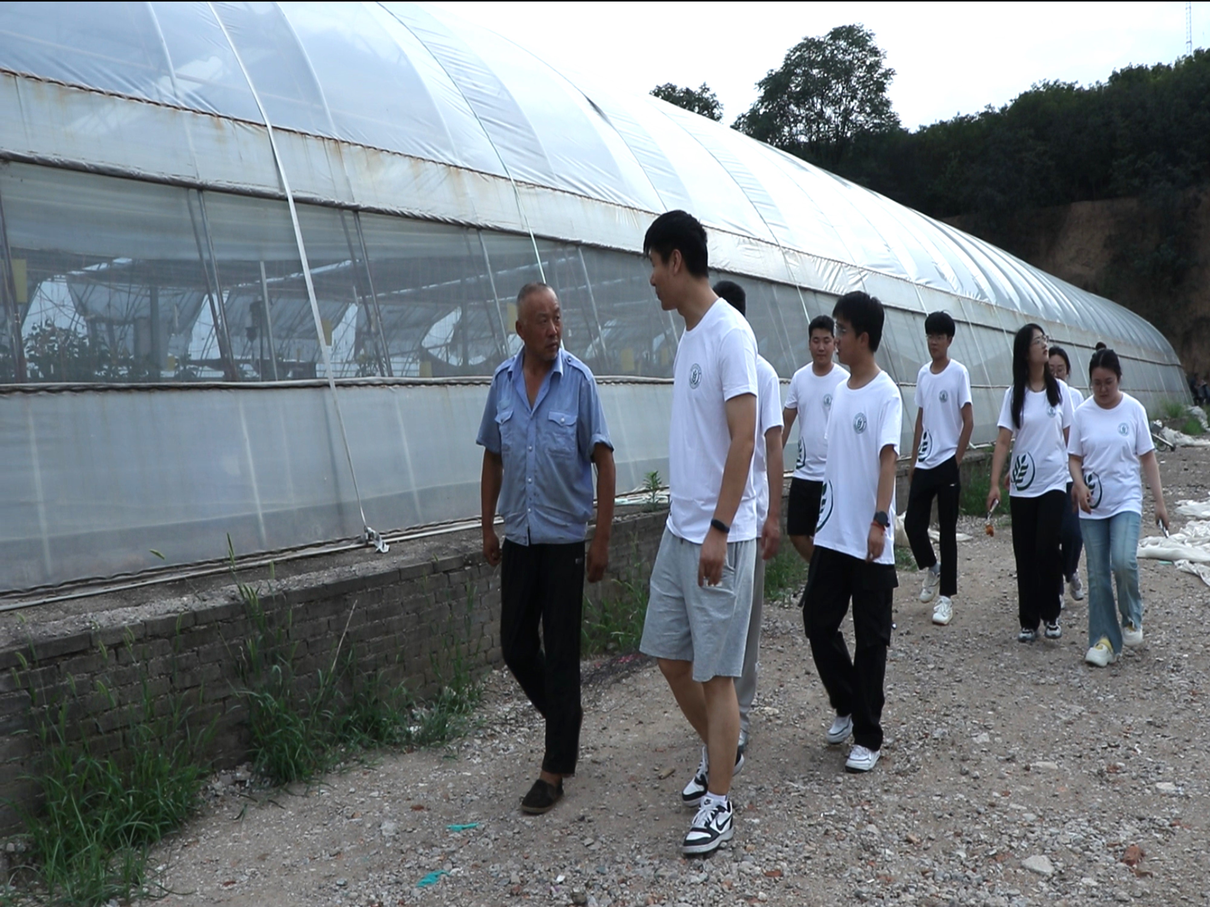 暑期社会实践投稿+西北农林科技大学园艺学院赴西北地区非耕地设施农业发展调研服务队＋西农学子西吉行：黄土塬上探寻非耕地设施的“绿色生机”图片2.jpg