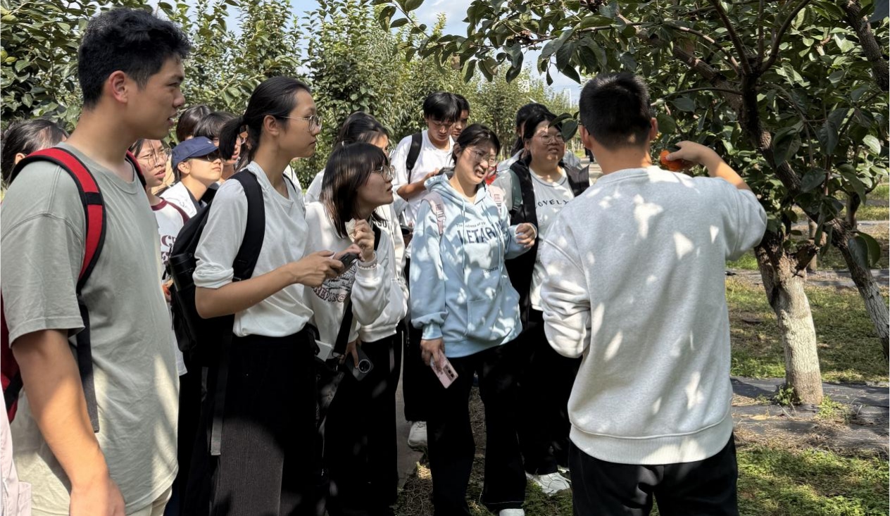 柿圃工作人员向学生们科普柿生长过程.png