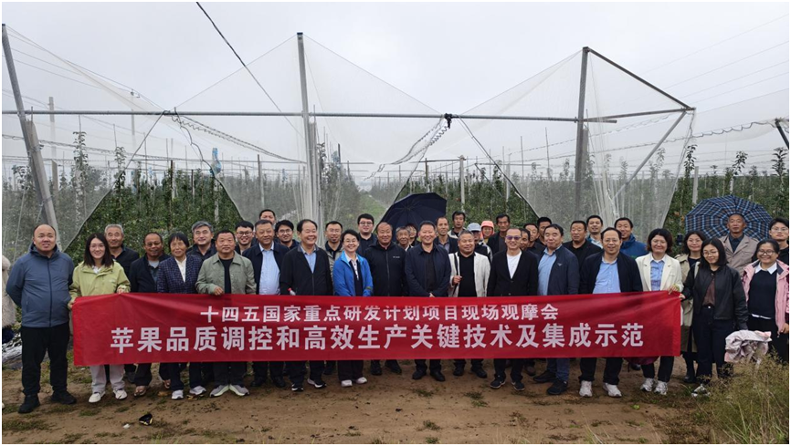 观摩会现场.png