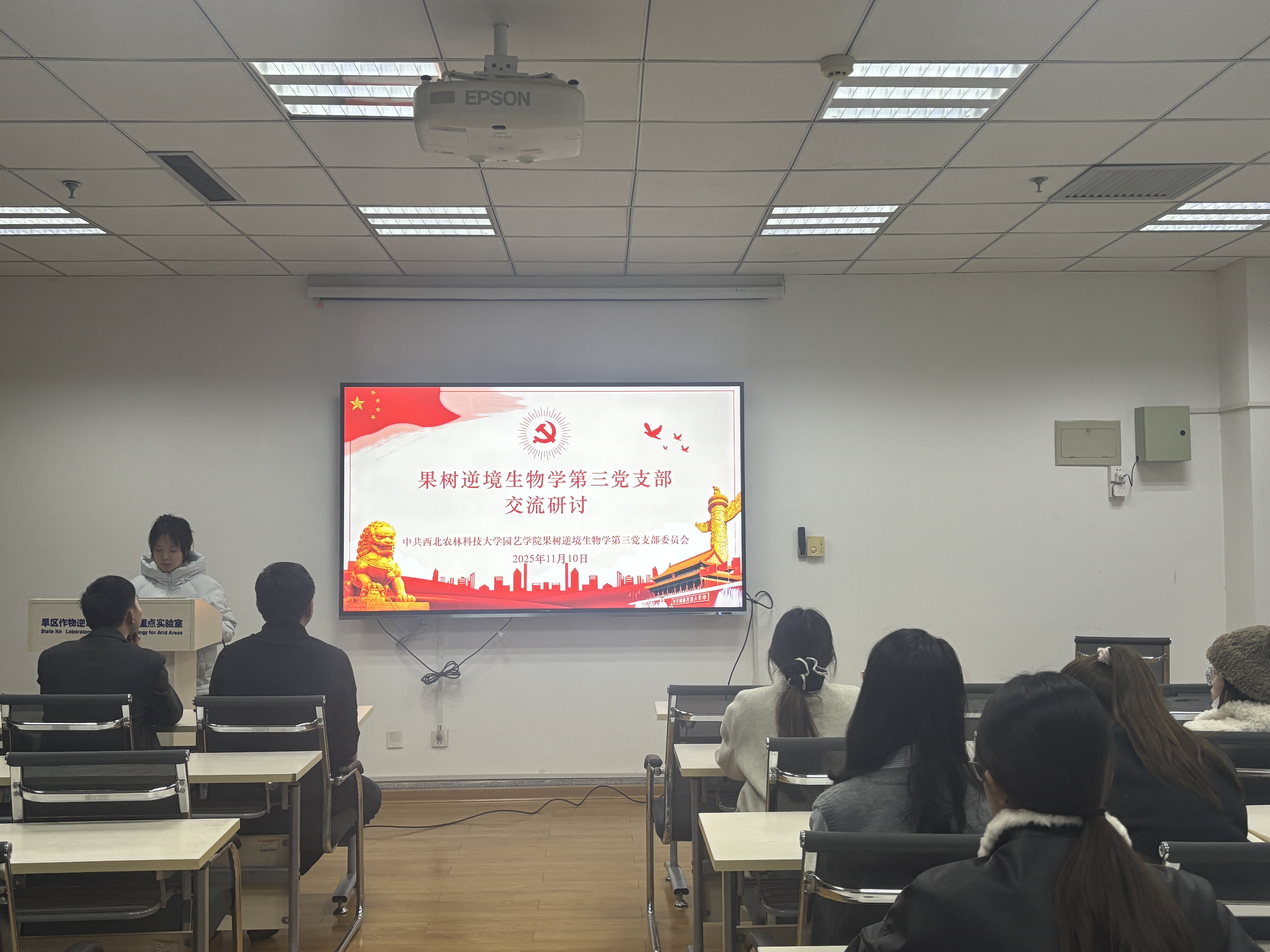 照片1.jpg