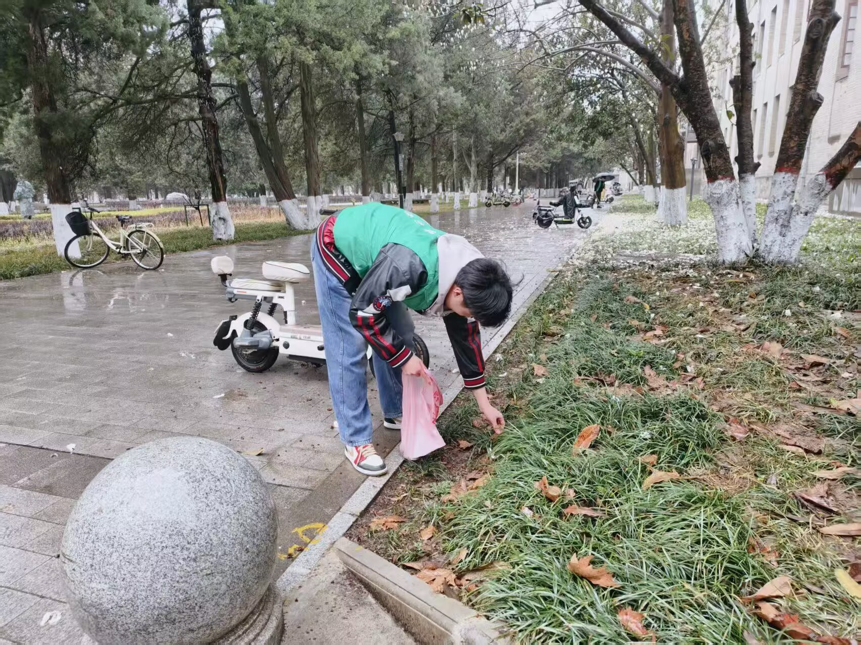 志愿者捡拾枯枝败叶.jpg