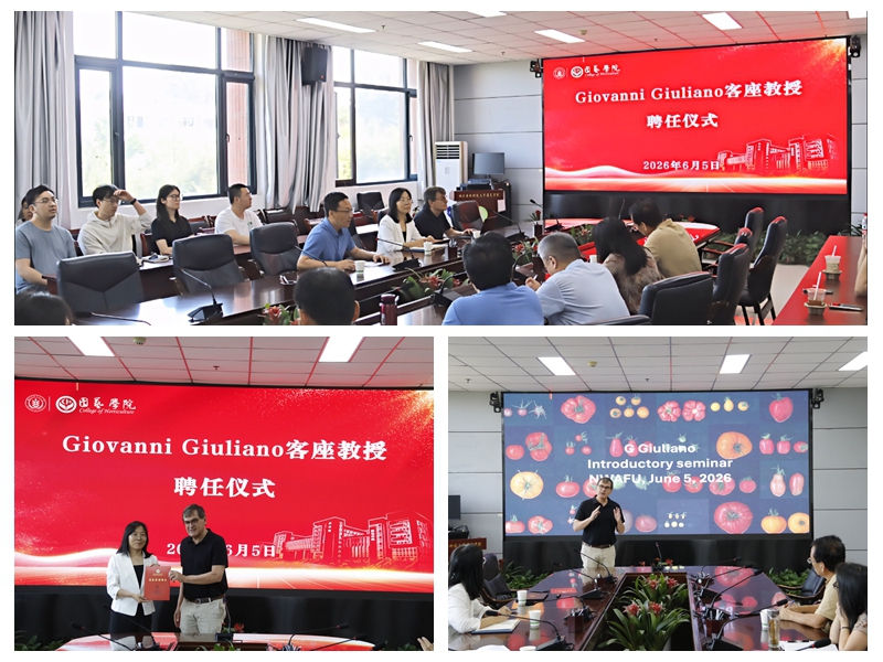 拼图照片.jpg