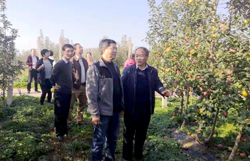 微信图片_20191104113253.jpg