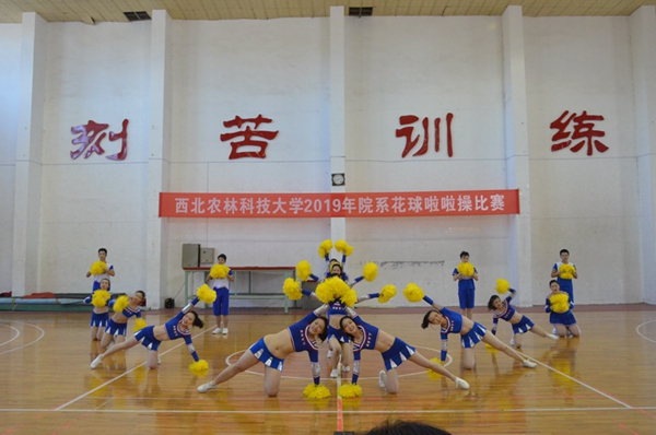 9b85052c069b47d2adae59f3023dc12f.jpg 精彩表演3.jpg