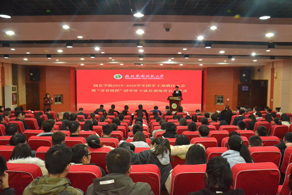 聘任大会现场_副本.jpg