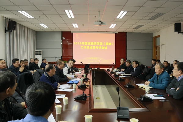 会议现场.JPG