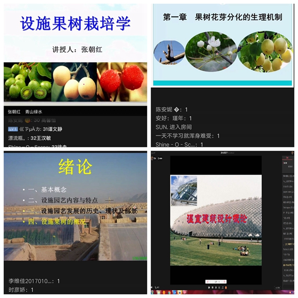 c3fedea16a8f459391a6e792e8ccb844.jpg 1.jpg