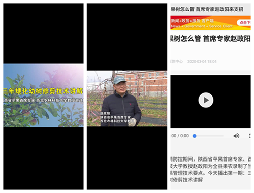 2657fe6e40794793a84887f56faf5efb.png 图二试验站与白水县技术部门和电视台联系,为白水全县果农录制了苹果园当前管理技术要点。.png
