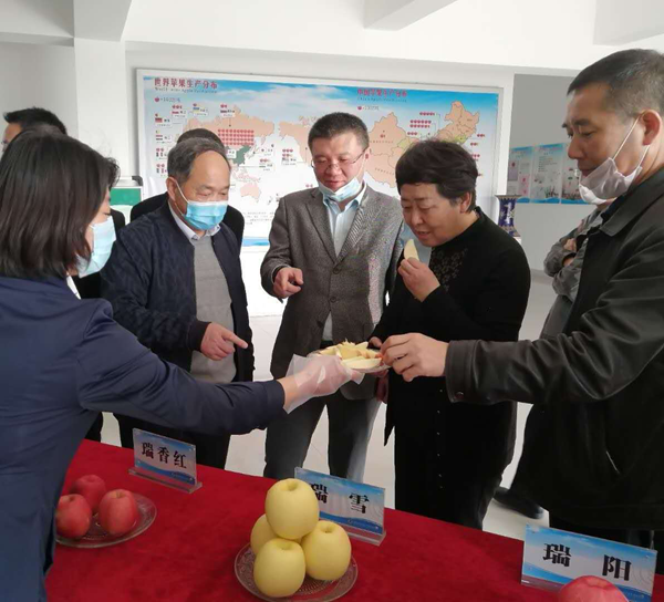图片2.png