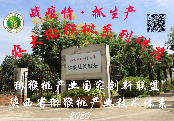 c2c341cb72da498aa8b6dcfd971c4fb4.png 农大猕猴桃系列讲座 (1).png