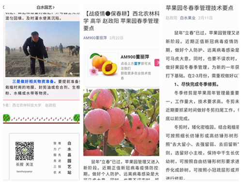 ca4425b9e7dc4f438be0cb010fa80646.png 图一白水苹果试验站首席专家赵政阳教授撰写苹果园冬春季管理技术要点,在白水果业、白水园艺及多个农业平台连续转发。.png
