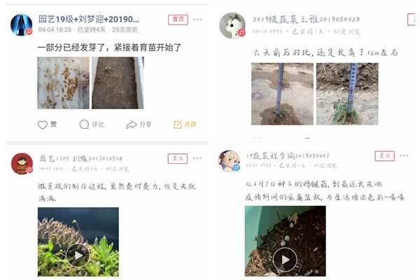 05b8d369b71440eeae9a45bd4e1a8b5e.jpg 盆栽养护活动截图.jpg