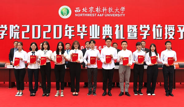 bb0a99cbdcf54ef0988c89c9994e31ce.jpg IMG_8055_副本.jpg