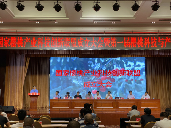 ef01593def5d4abcb9f406c02d7d5711.jpg 大会现场.jpg