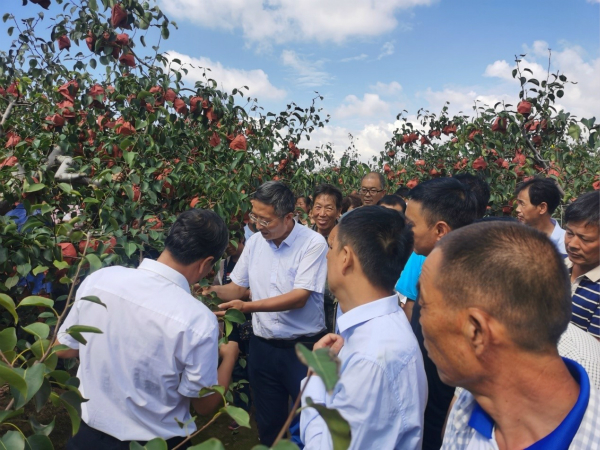 01267ba0817940b5b1aae0cc38d3135b.jpg 观摩会现场_meitu_5.jpg