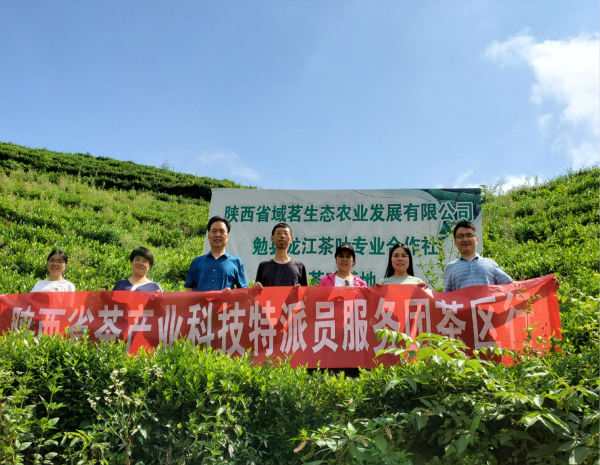 6529e53328474b14b442f68d25510c13.jpg 茶园合影_meitu_2.jpg