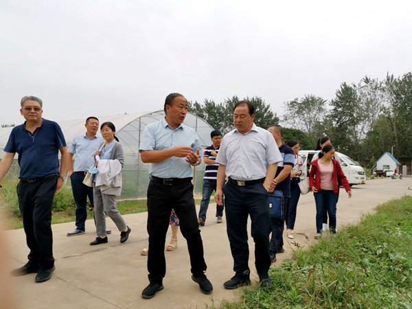 a9e2dc8698974246a06ba0cb5c8ac627.png 专家组考察试验田.png