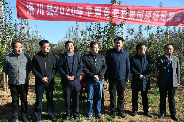 a55f02d087244412a5fdbc8fa742e511.jpg lvchuanxianzhaokaipingguomiantaodaijishuxianchangguanmohui.jpg