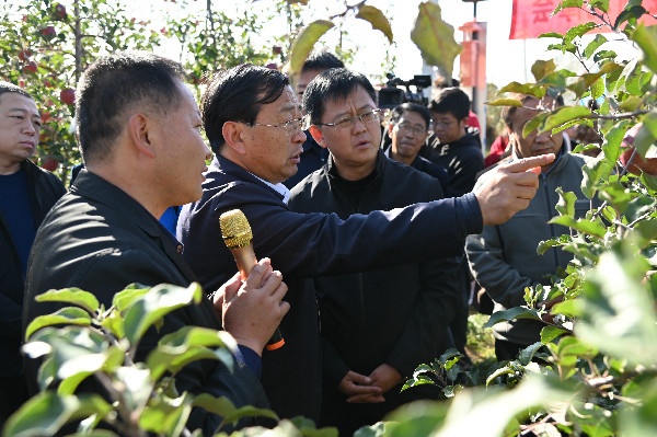 bb56cd85435b422d9498efd560c5e627.jpg xianchangguanmo.jpg