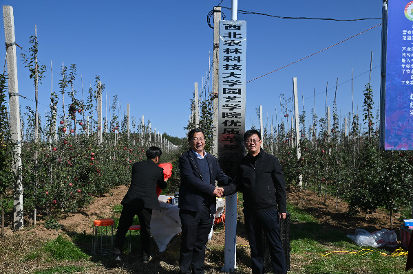 d92ead322a9742a3aaff2f25ef4a0c09.jpg mayuanchangyufushujixianchangzhangjidongjiepai.jpg