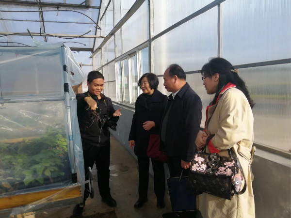 cf4be9f250a04656b39e0e572e093c6c.jpg 1604737859229_meitu_1.jpg