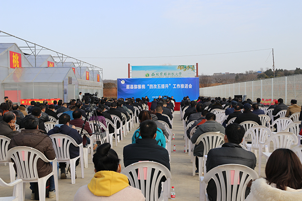 e62bba4fb784491cb7d385c6f62b59f5.jpg 推进会现场.jpg