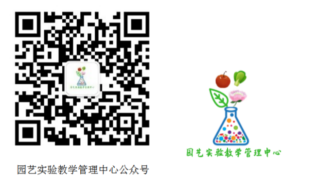 869913dd3a8840ecb2905dab9e6b59d7.png