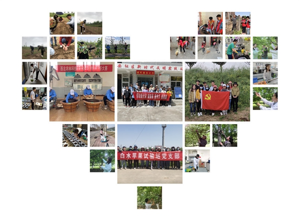 cc91b6ad6c3a45c091578a5549246459.jpg 园艺学院五一劳动月_副本.jpg