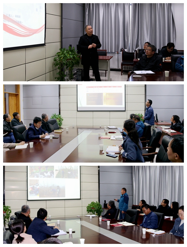 3e5e7585682245ce9f073562a60bc1d5.jpg 泾阳蔬菜试验示范站汇报交流 (2).JPG