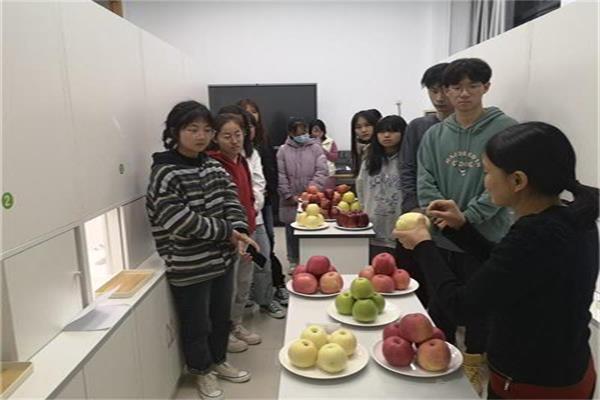 cd4bdc6a20f04a7491bd2f5df15e7f01.jpg 图2-1介绍品种.jpg