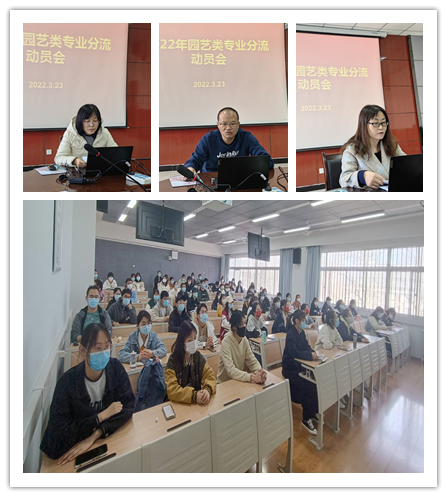 b45578b9392e468482cca8635090a4c7.png 线上线下.png