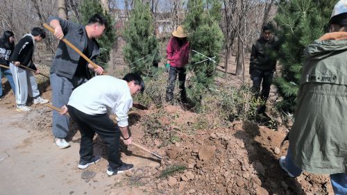 4221e44622144f46b77b3d7ebde5950b.jpg