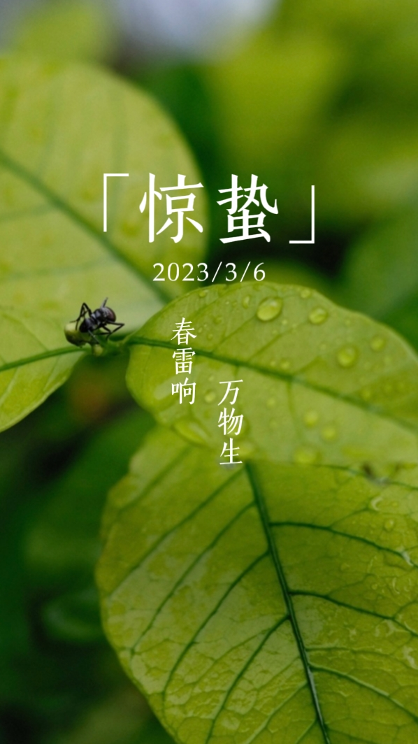 5b405959259649e3a1008a1cf1432c64.png 5b405959259649e3a1008a1cf1432c64.png