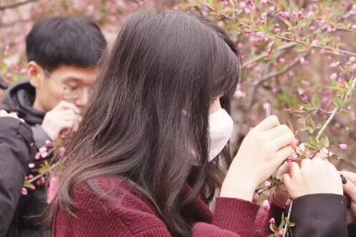 aac4f502342744cd9f6672126d4462d2.jpeg 队员在去雄操作.jpeg