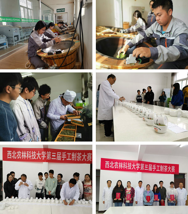 44e18fa781584daea9ad0f1efe162e5b.png 图片4.png