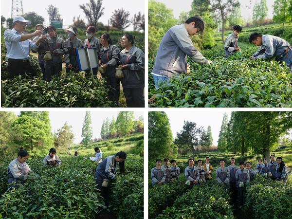 683e3f9d3797459ba45f1edab55b520b.png 图片1.png