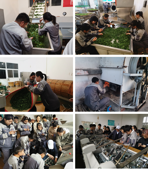 aa14edc1408f44c1af83348626190896.png 图片3.png